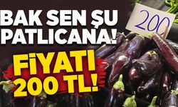 Bak sen şu Patlıcana: Fiyatı 200 TL!