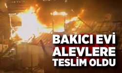 Bakıcı evi alevlere teslim oldu