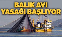 Balık avı yasağı başlıyor
