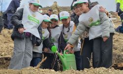Bartın’da kül olan orman yeniden doğuyor: 400 fidan dikildi