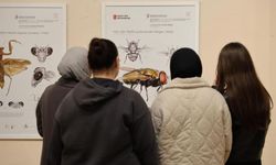 Düzce’de Bilim ve Sanat Böceklerin Dünyasını Anlattı
