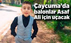Çaycuma’da balonlar Asaf Ali için uçacak