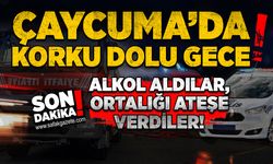 Çaycuma’da korku dolu gece: Alkol aldılar, ortalığı ateşe verdiler!