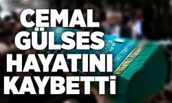 Cemal Gülses hayatını kaybetti