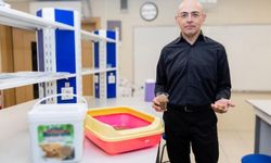 Ceviz kabuğundan kedi kumu üretti