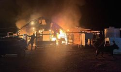 Çiftlikte yangın: 580 kanatlı hayvan telef oldu