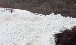 Çığ paniği: Köy halkı faciadan döndü