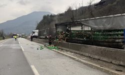 İki tır çarpıştı, D-650 savaş alanına döndü