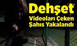 Sitede korkunç videolar çeken şahıs vatandaşları tedirgin etti