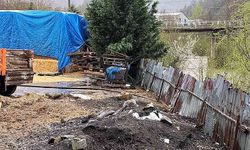 Dereye hayvansal atık bırakan besi çiftliği işletmecileri  yakalandı