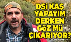 DSİ kaş yapayım derken göz mü çıkarıyor?