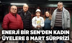 Enerji Bir Sen’den kadın üyelere 8 Mart sürprizi