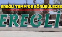 Ereğli TBMM’de görüşülecek