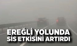 Ereğli yolunda sis etkisini artırdı: Sürücüler zor anlar yaşadı