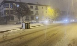 Erzincan’da kar yağışı