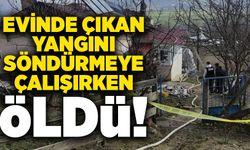 Evinde çıkan yangını söndürmeye çalışırken öldü