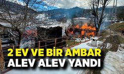 Kastamonu'da 2 ev ve bir ambar alev alev yandı