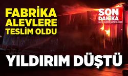 Karton Fabrikasına Yıldırım Düştü, Yangın Çıktı