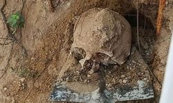 Fidan dikerken insan kafatası buldular: Mahalle tedirgin