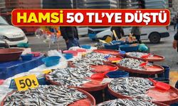 Hamsi 50 TL’ye Düştü, Tezgahlar Doldu Taştı