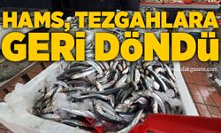 Hamsi tezgahlara geri döndü: Kilosu 150 TL
