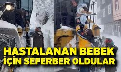 Hastalanan bebek, kardan kapanan yolda iş makinesi ile taşındı