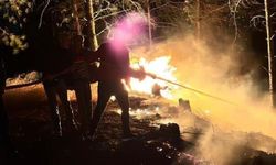 Hatay’da ormanlık alanda çıkan yangın büyümeden söndürüldü