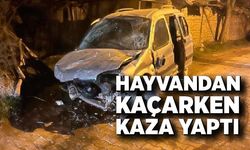 Kastamonu’da araç taşa çarptı: 1 kişi yaralandı
