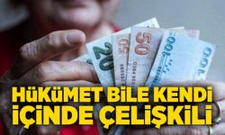 Hükümet bile kendi içinde çelişkili