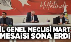 İl Genel Meclisi Mart mesaisini tamamladı