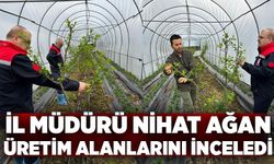 İl Müdürü Nihat Ağan Üretim Alanlarını İnceledi
