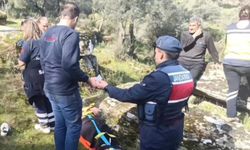 Kayalıktan düşen kadın ekiplerin çalışması ile kurtarıldı