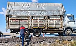 Kamyonun Lastiği Alev Aldı: Sürücünün Müdahalesi Yangını Önledi