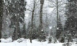 Kar kalınlığı yer yer 1 metreye ulaştı