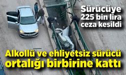 Alkollü ve ehliyetsiz sürücü ortalığı birbirine kattı