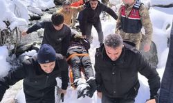 Kayıp vatandaş donmak üzereyken Hasköy dağlarında bulundu