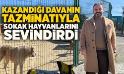 Kazandığı davanın tazminatıyla sokak hayvanlarını sevindirdi
