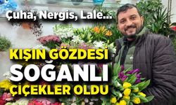 Çuha, Nergis, Lale… Kışın gözdesi soğanlı çiçekler oldu