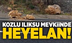 Kozlu Ilıksu yolunda heyelan