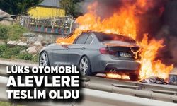 Lüks otomobil alevlere teslim oldu
