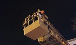 Ağaçta mahsur kalan kedi itfaiye ekiplerince kurtarıldı