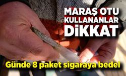 Maraş otu kullananlar dikkat: Günde 8 paket sigaraya bedel
