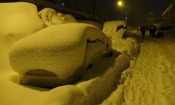 Mart geldi ama Bitlis’te kış bitmedi