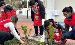 Minik eller geleceğe fidan dikti