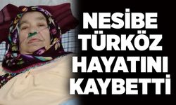 Nesibe Türköz hayatını kaybetti