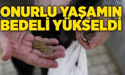 Onurlu yaşamın bedeli yükseldi