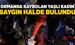 Ormanda kaybolan yaşlı kadın baygın halde bulundu