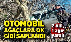 Otomobil ağaçlara ok gibi saplandı: 2 ölü, 1 ağır yaralı