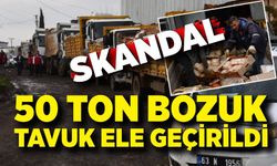 Skandal: Halkı Zehirleyecek 50 Ton Tavuk İmha Edildi