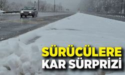 Kar ve sis bastırdı: Bayram yolculuğu kabusa döndü